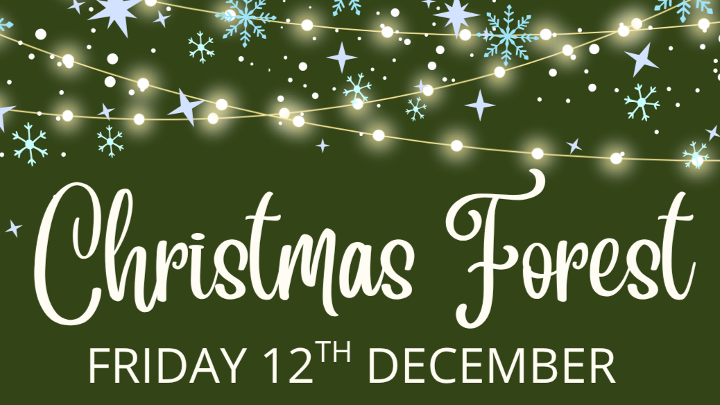 Christmas Forest, Friday 12th December