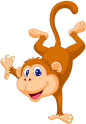 Monkey